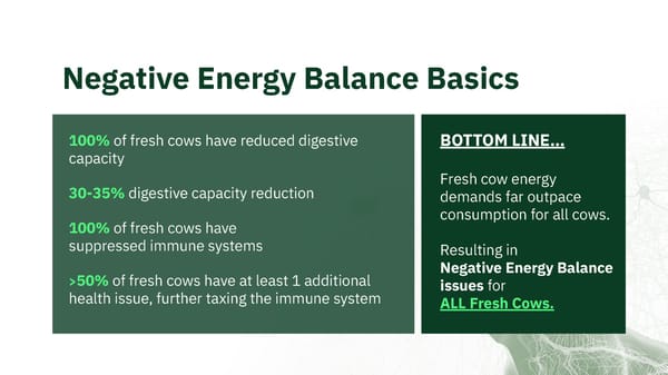 Meet Fresh Cow Manager (Open) - Page 6